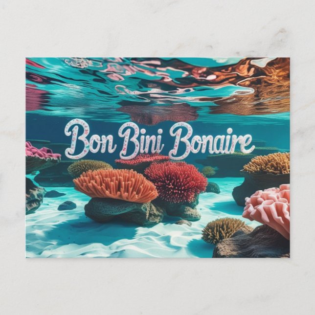Cartão postal Bon Bini Bonaire (Frente)