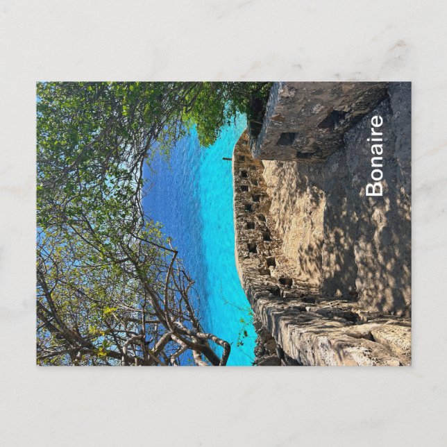 Cartão postal Bonaire (Frente)