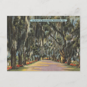Cartão Postal Bonaventure Drive Savannah GA retro
