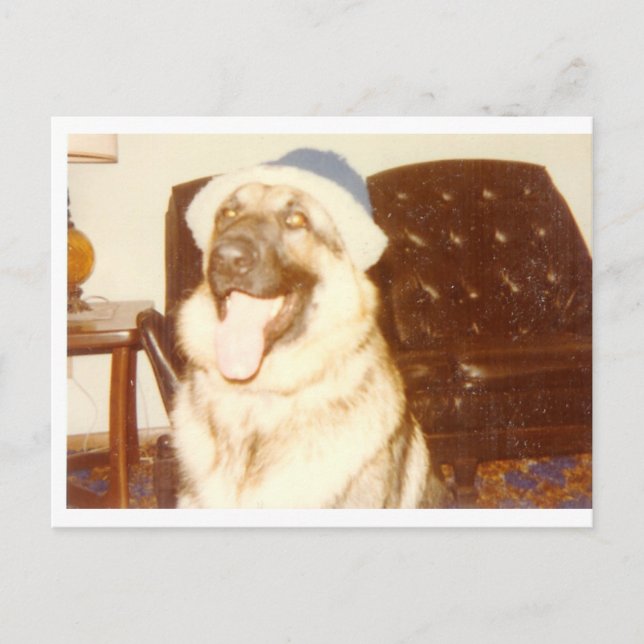 Cartão Postal Boné_Doggie (Frente)