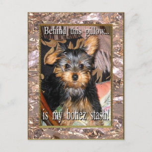 Cartão Postal Bone Stash Yorkie
