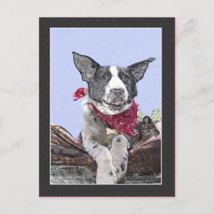 Cartão Postal Bonita Borda Collie Heeler Mix Dog Sketch Art Olá