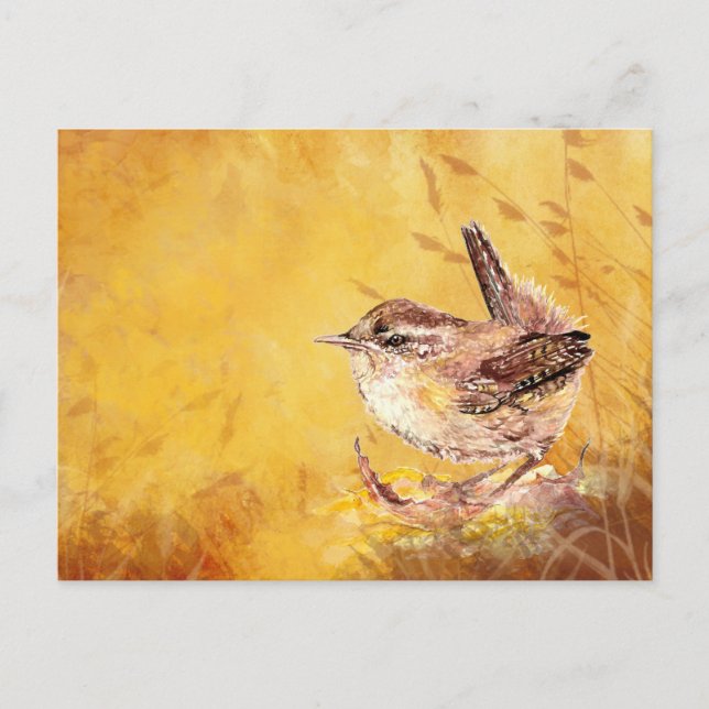 Cartão Postal Bonita Casinha de Aquarela Wren Bird Nature art (Frente)