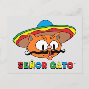 Cartão Postal Bonita e Engraçada Cartoon Cinco de Mayo