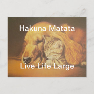 Cartão Postal Bonita Impressão de Arte de Cachorro e Gato Incrív