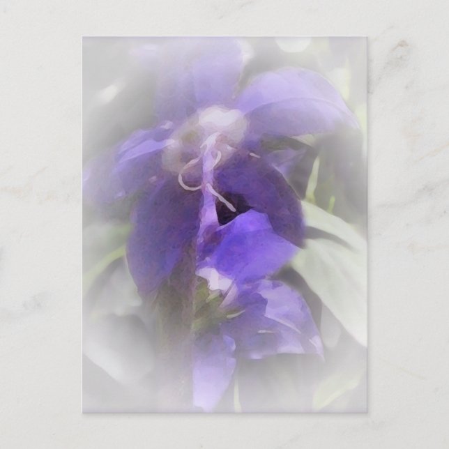 Cartão Postal Bonito (Frente)