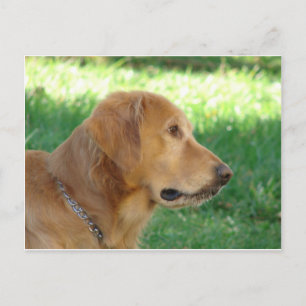 Cartão Postal Bonito