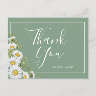 Cartão Postal Bonito Basil Green & White Daisies Obrigado