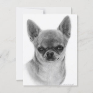 Cartão Postal Bonito Chihuahua - Trabalho de arte pintado na mão