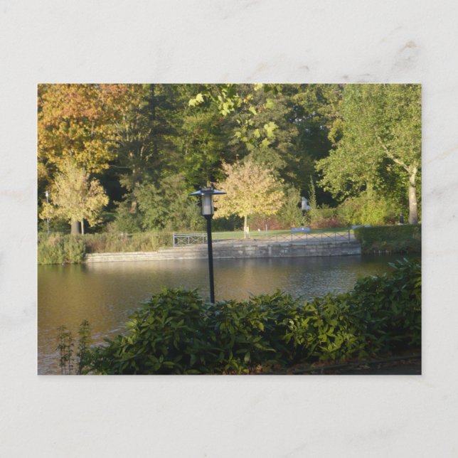 CARTÃO POSTAL BONITO DE EXPRESSÕES (Frente)