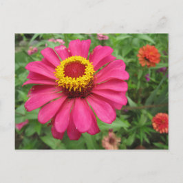 Cartão Postal Bonito em rosa e amarelo