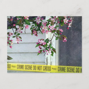 Cartão Postal Bonito Feia