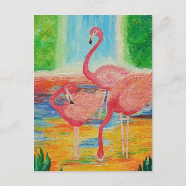 Cartão Postal Bonito Flamingos (Frente)