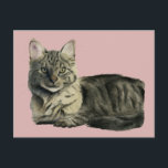 Cartão Postal Bonito Gatinhos de Cabelo Médio, Gatinhos de Cabel<br><div class="desc">Mão bonita pintou a aquarela de um gatinho fofo. Gato de cabelo médio doméstico deitado com fundo rosa.</div>