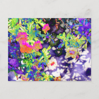 Cartão Postal Bonito Petunias