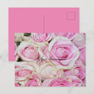 Cartão Postal Bonito Rosas Brancas Rosa Românticas