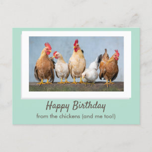 Cartão Postal Bonito Verde Feliz Aniversário Dos Frangos