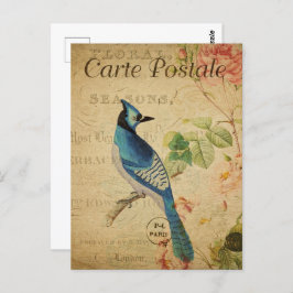 Cartão Postal Bonito Vintage Blue Jay