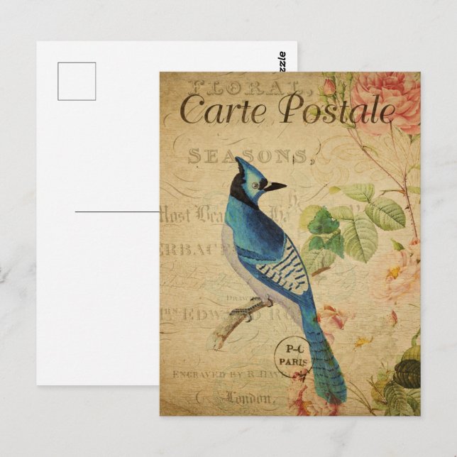 Cartão Postal Bonito Vintage Blue Jay (Frente/Verso)