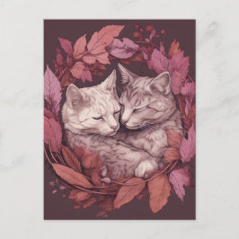 Cartão Postal Bonitos Gatos Dormindo