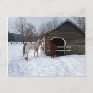 Cartão Postal Bonnie & Clyde