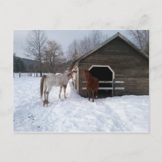 Cartão Postal Bonnie & Clyde