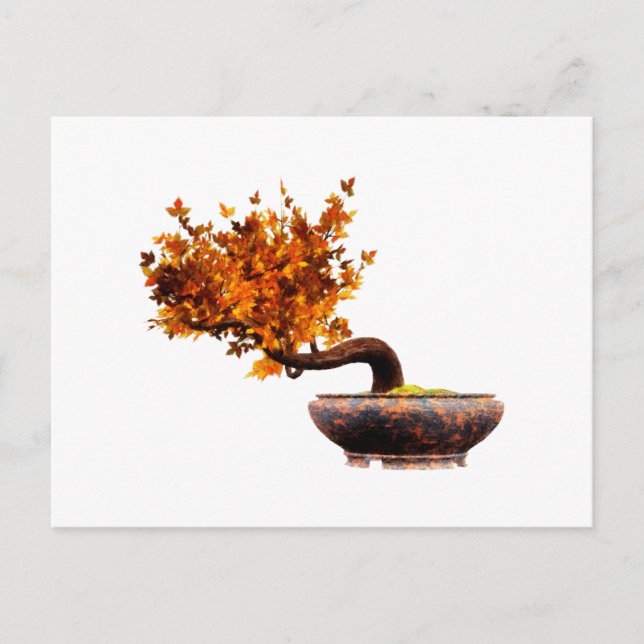 Cartão Postal Bonsai 2 (Frente)