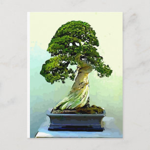 Cartão Postal Bonsai Cypress Tree