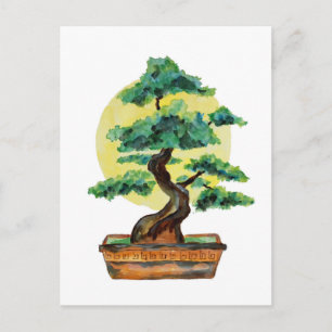 Cartão Postal Bonsai Tree Sunshine