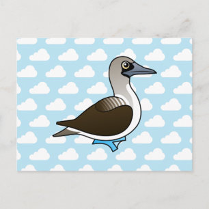 Cartão Postal Booby de pés azuis