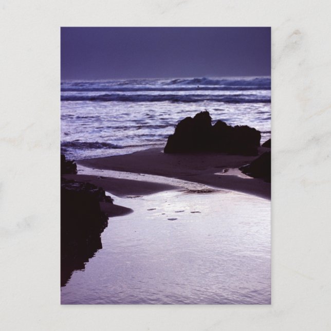 Cartão Postal Boobys Bay (Frente)