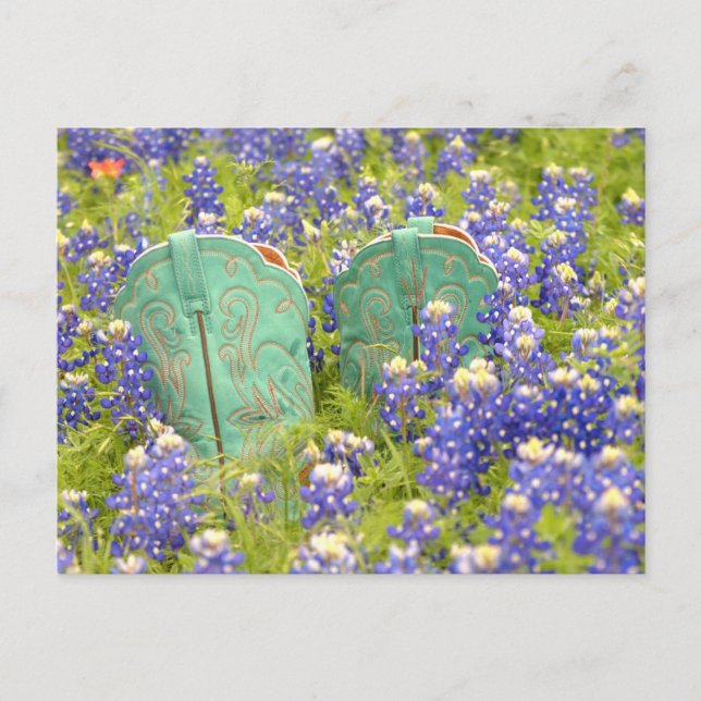 CARTÃO POSTAL BOOTAS DE COWGIRL (Frente)