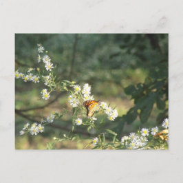 Cartão Postal Borboleta