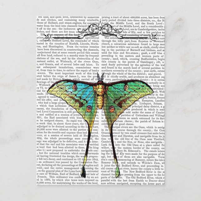 Cartão Postal Borboleta 2 (Frente)