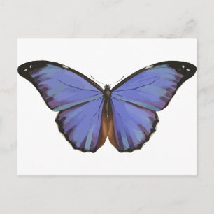 Cartão Postal Borboleta Azul