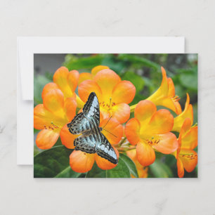 Cartão Postal Borboleta azul com Rhododendron tropical