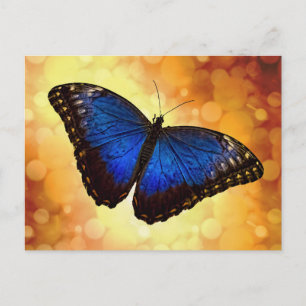 Cartão Postal Borboleta Azul Morpho