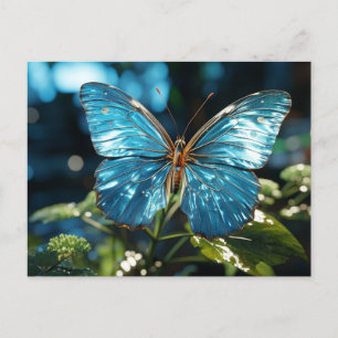 Cartão Postal Borboleta Azul Transparente bonito