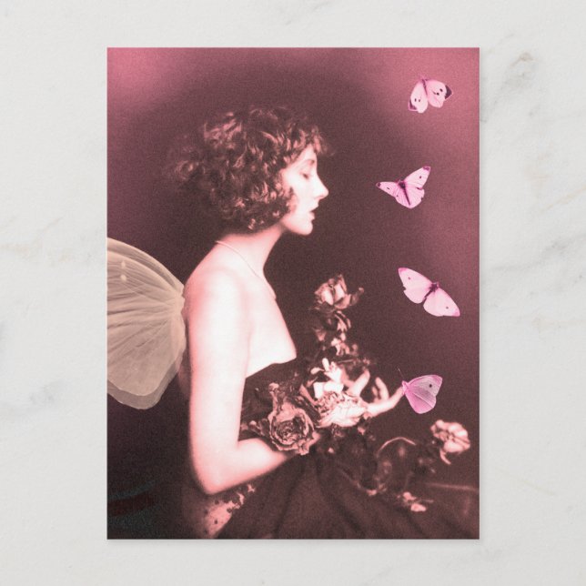 Cartão Postal Borboleta, Borboleta (Frente)