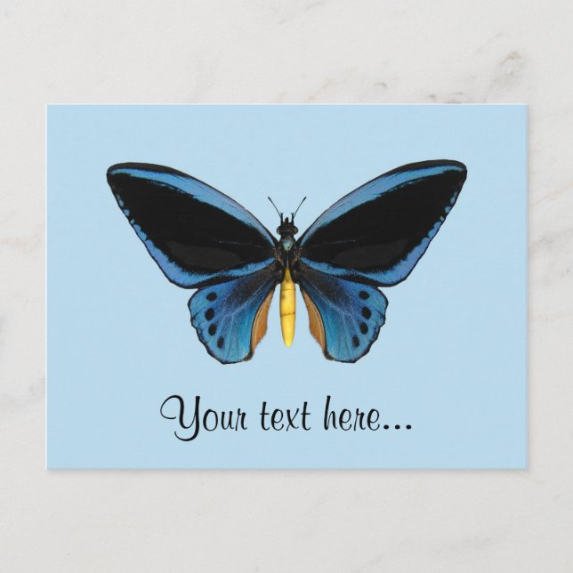 Cartão Postal Borboleta de Birdwing (Frente)