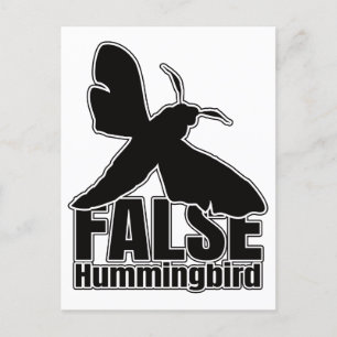 Cartão Postal Borboleta de Hummingbird Hawk-Moth - Geek de Entom