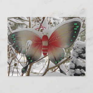 Cartão Postal Borboleta de Neve