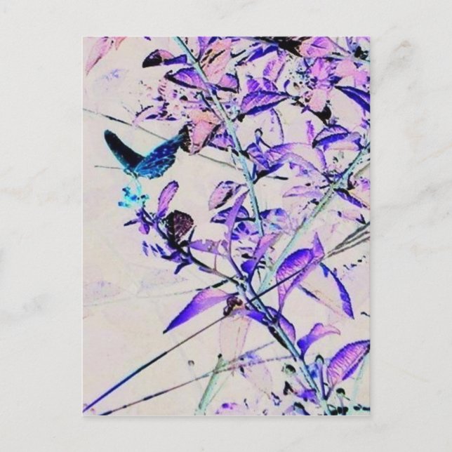 Cartão Postal Borboleta do Mod - Cartão-postal (Frente)