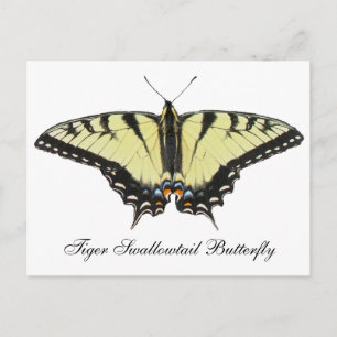 Cartão Postal Borboleta do Swallowtail de Tigre