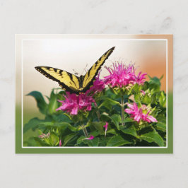 Cartão Postal Borboleta do Swallowtail do Tigre Oriental