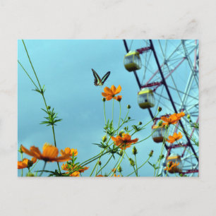 Cartão Postal Borboleta do Triângulo Azul e Flores do Cosmos: Ja
