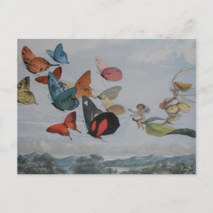 Cartão Postal Borboleta e Borboletas-de-Fada Rainha