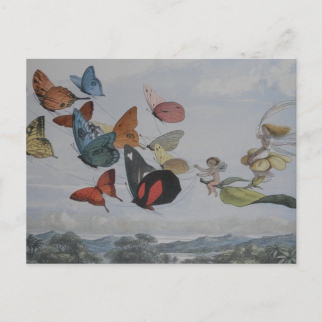 Cartão Postal Borboleta e Borboletas-de-Fada Rainha (Frente)