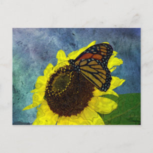 Cartão Postal Borboleta e fundo azul de girassol