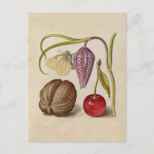 Cartão Postal Borboleta Flor de Noz Flor, Cereja, Aquarela